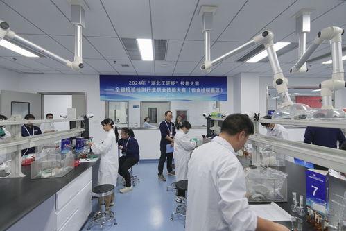2024年湖北工匠杯檢驗(yàn)檢測行業(yè)職業(yè)技能大賽決賽圓滿落幕